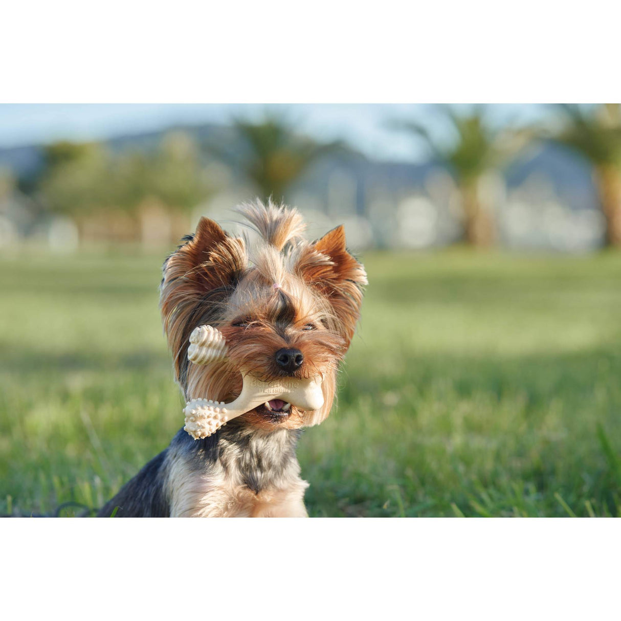 BetterBone HARD CHEW TOY: Natural Ingredients, eco-friendly, and ultra-durable chew for the toughest chewers! from BetterBone All Natural Eco-Friendly Dog Chews & Bones