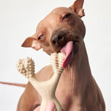 BetterBone MEDIUM Durability CHEW TOY: Perfect Chew for Everyday Chewers | Natural Ingredients, Eco-Friendly, Non-Toxic from BetterBone All Natural Eco-Friendly Dog Chews & Bones