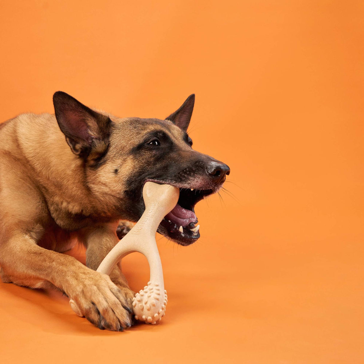 BetterBone HARD CHEW TOY: Natural Ingredients, eco-friendly, and ultra-durable chew for the toughest chewers! from BetterBone All Natural Eco-Friendly Dog Chews & Bones