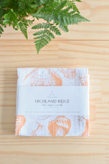 Seashell Tea Towel from Jubilee Trading Company