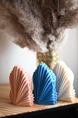 Palmita Candle Collection from Shop Restyled