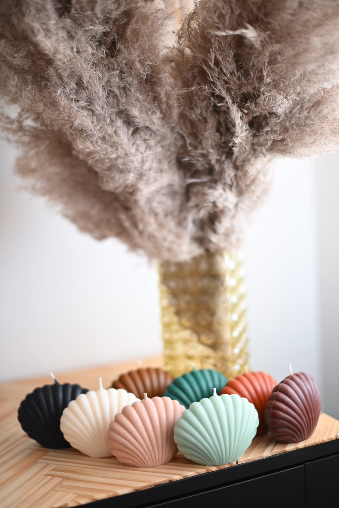Shell Candle Collection from Shop Restyled