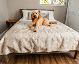 PupProtector™ Summer Short Fur Waterproof Throw Blanket - White with Brown Accents from Paw.com