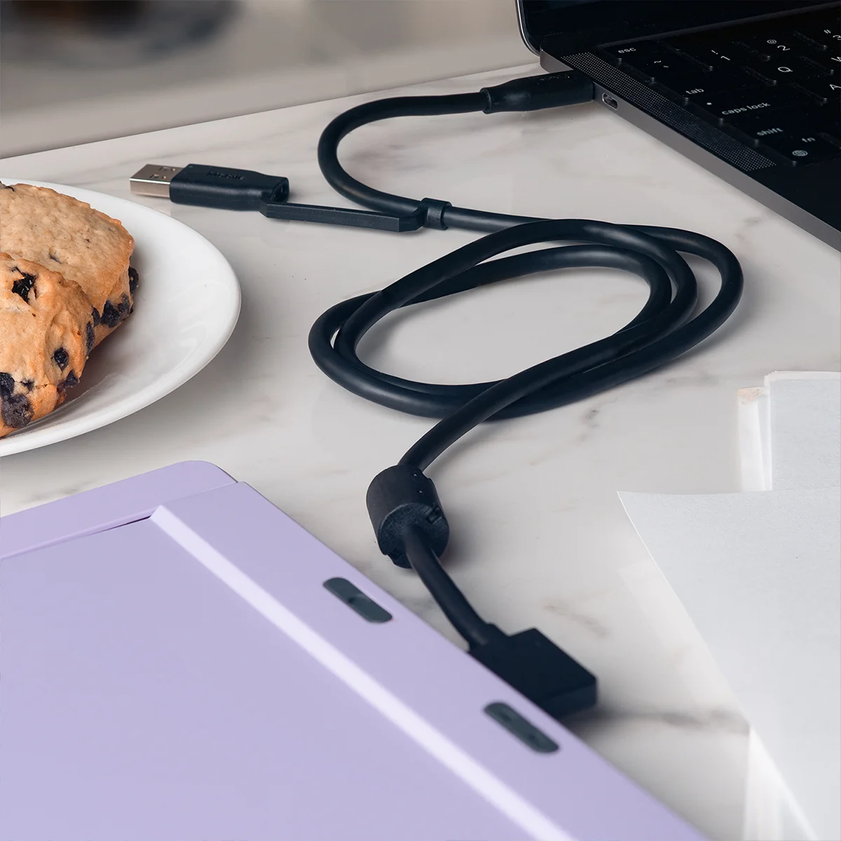 Laptop Monitor Data Cable From Mobile Pixels