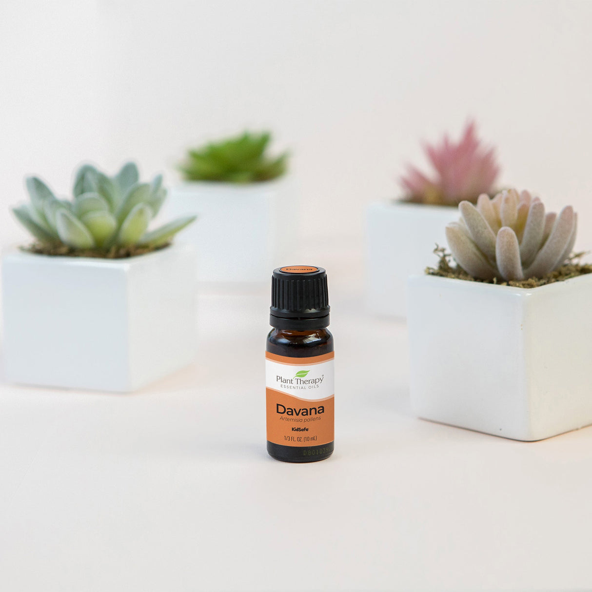 Davana Essential Oil From Plant Therapy