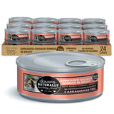 Dave's Naturally Healthy Grain Free Shredded Salmon Dinner in Gravy Wet Cat Food (5.5oz) from The Family Pet