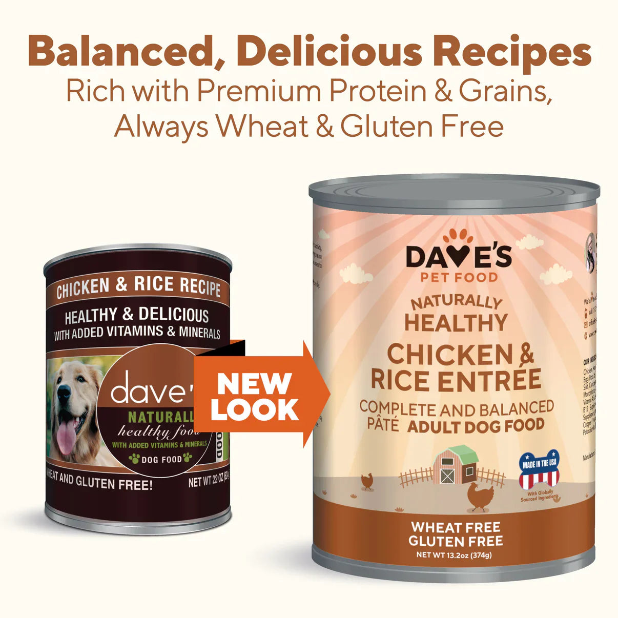 Dave’s Naturally Healthy Chicken & Rice Recipe Wet Dog Food (13.2oz) from The Family Pet