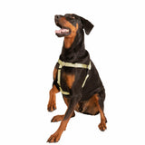 Tan Freedom No-Pull Dog Harness from 2 Hounds Design