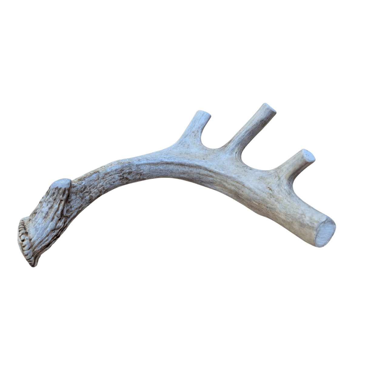 Deer Antler Dog Chews | Organic Antler Chews from Farm To Pet