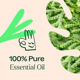 Deodorizing Essential Oil Blend From Plant Therapy