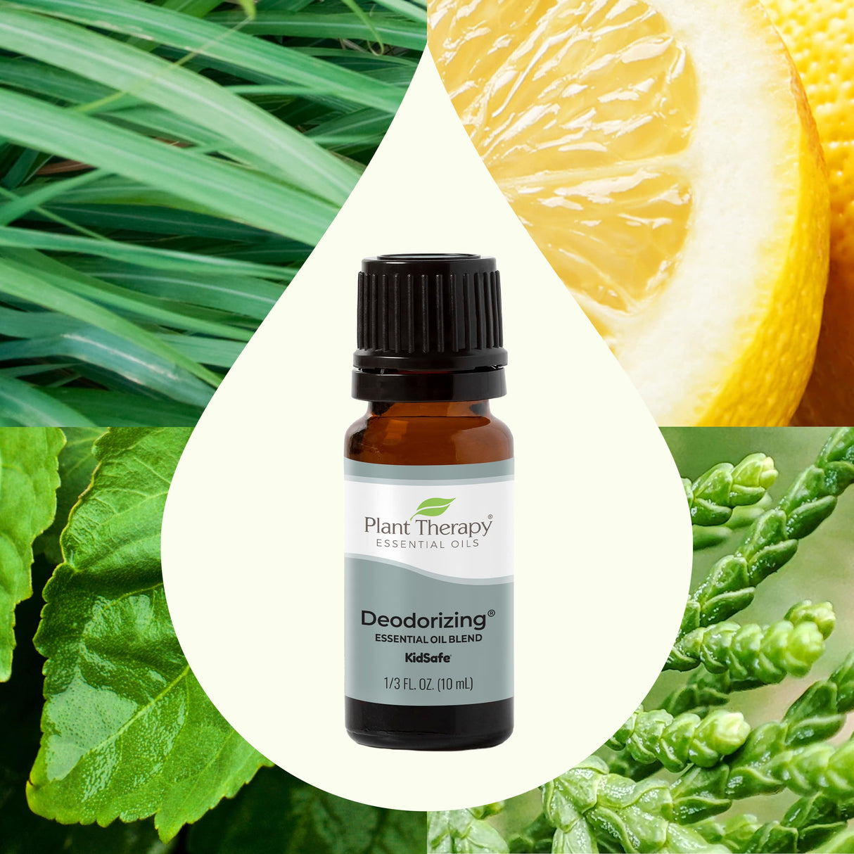 Deodorizing Essential Oil Blend From Plant Therapy