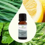 Deodorizing Essential Oil Blend From Plant Therapy