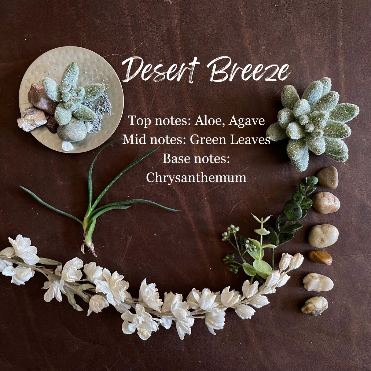 Desert Breeze (Seasonal) from Peripeti Home