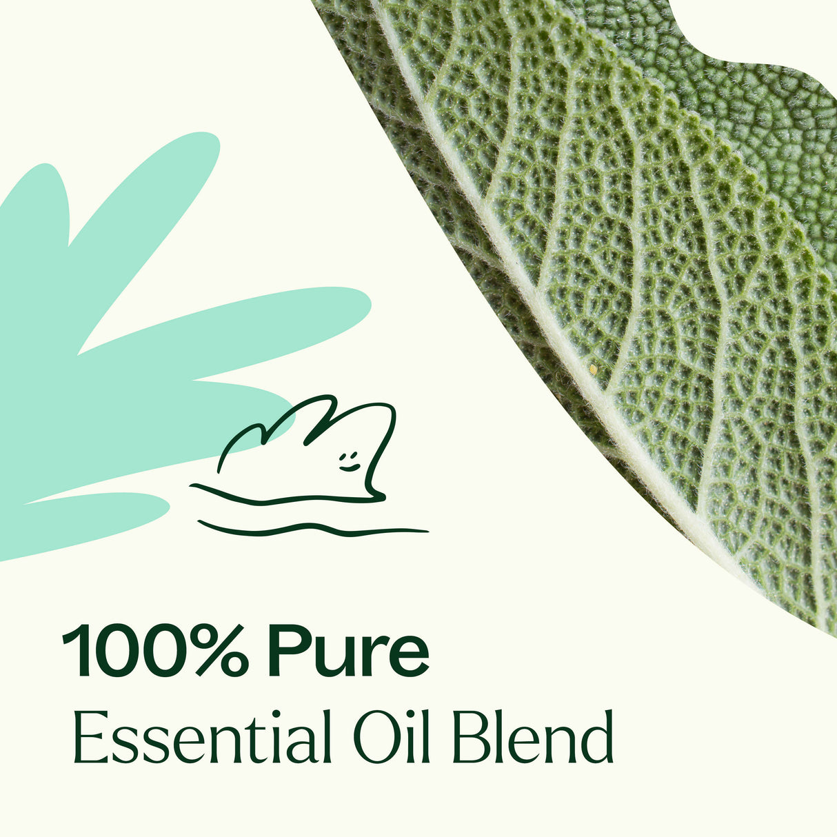 Desert Sage Essential Oil Blend from Plant Therapy