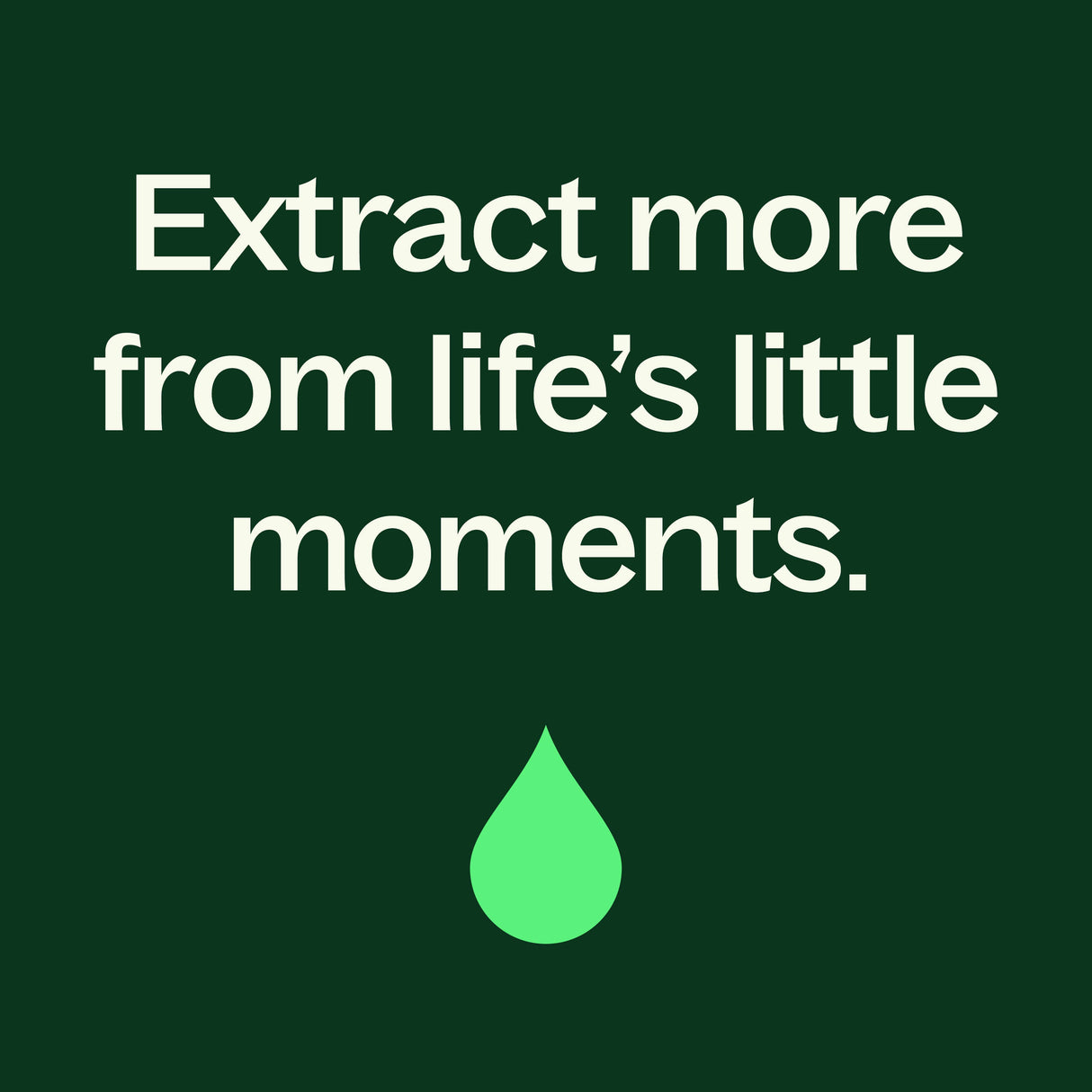 Desert Sage Essential Oil Blend from Plant Therapy