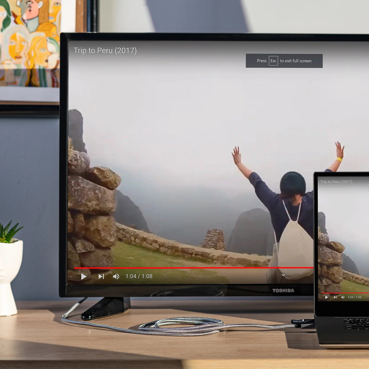 DisplayPort 8K Cable  From Mobile Pixels