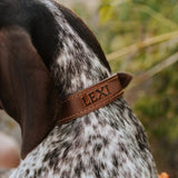 Leather Dog Collar - Designer All for American from Lifetime Leather Co.