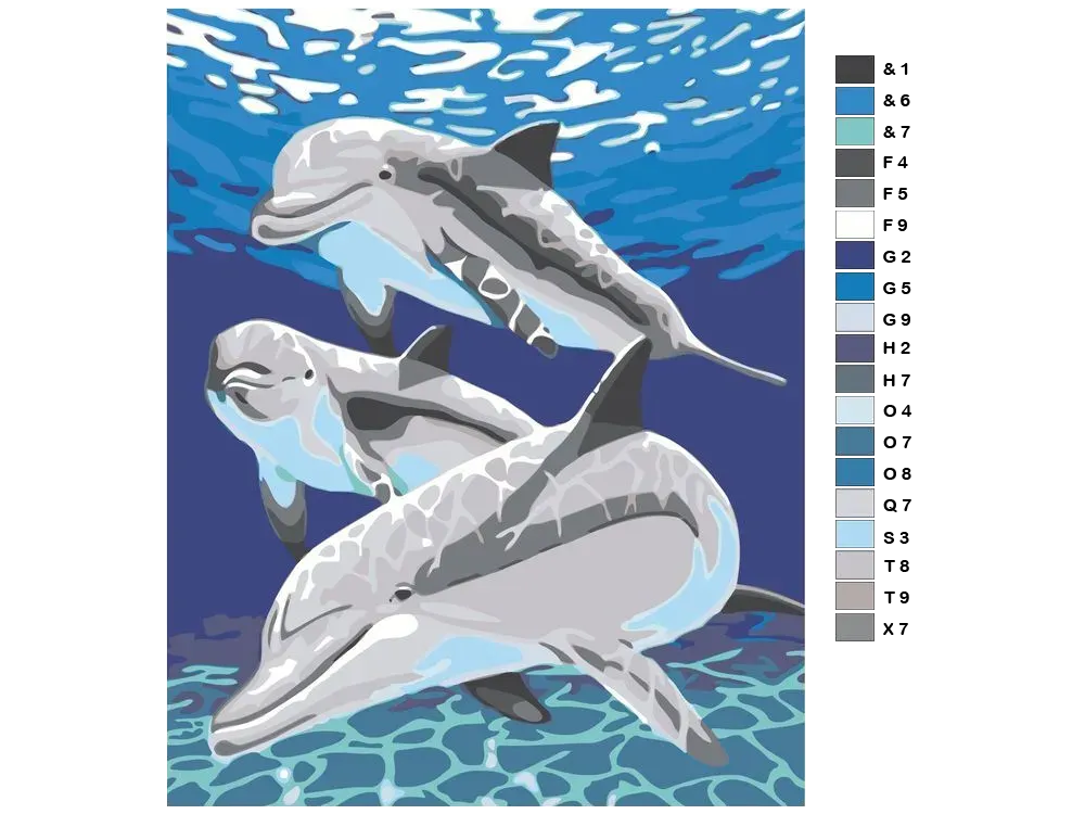 Dolphin Paint by Numbers Kit F07M1-6-Dolphin from Wizardi
