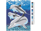 Dolphin Paint by Numbers Kit F07M1-6-Dolphin from Wizardi
