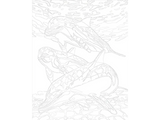 Dolphin Paint by Numbers Kit F07M1-6-Dolphin from Wizardi