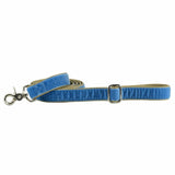Dusty Blue Swiss Velvet Leash from 2 Hounds Design