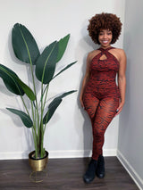 Madagascar Zebra Print Bawdysuit (Bodysuit) from Peach Perfect