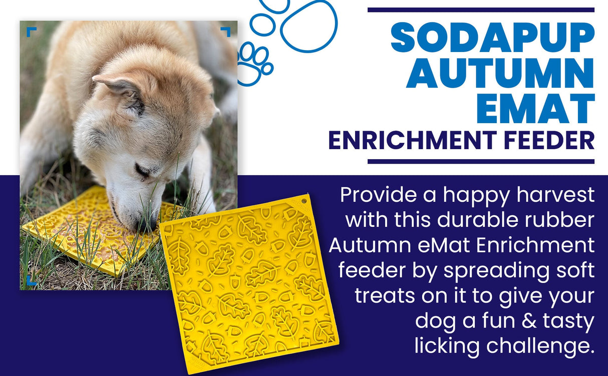 Autumn Design eMat Enrichment Lick Mat From SodaPup
