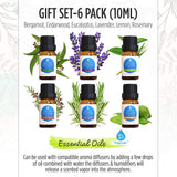 6 Pack of 100% Pure Essential Aromatherapy Oils from Pursonic