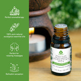 100% Pure & Natural Eucalyptus Essential Oils from Pursonic
