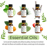 Aromatherapy Essential Oils 14-Pack Gift Set from Pursonic