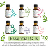 Aromatherapy Essential Oils 14-Pack Gift Set from Pursonic