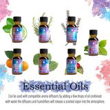 Himalayan Salt Diffuser & 14 Pack Essential Oils Set from Pursonic