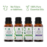 Pursonic 4-Pack Pure & Natural Essential Oils Collection – Eucalyptus, Lavender, Tea Tree, and Peppermint from Pursonic