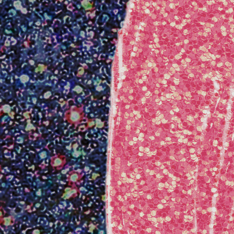 Jurassic World | It Can Camouflage! Holo Face & Body Glitter Gel from Profusion Cosmetics