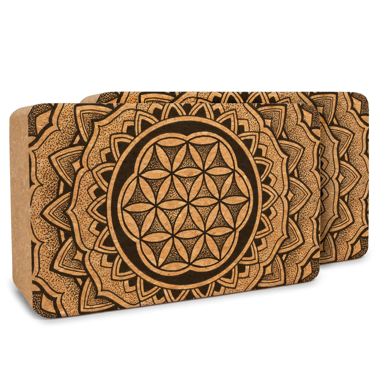 Artist Cork Yoga Block Set from Yoloha Yoga