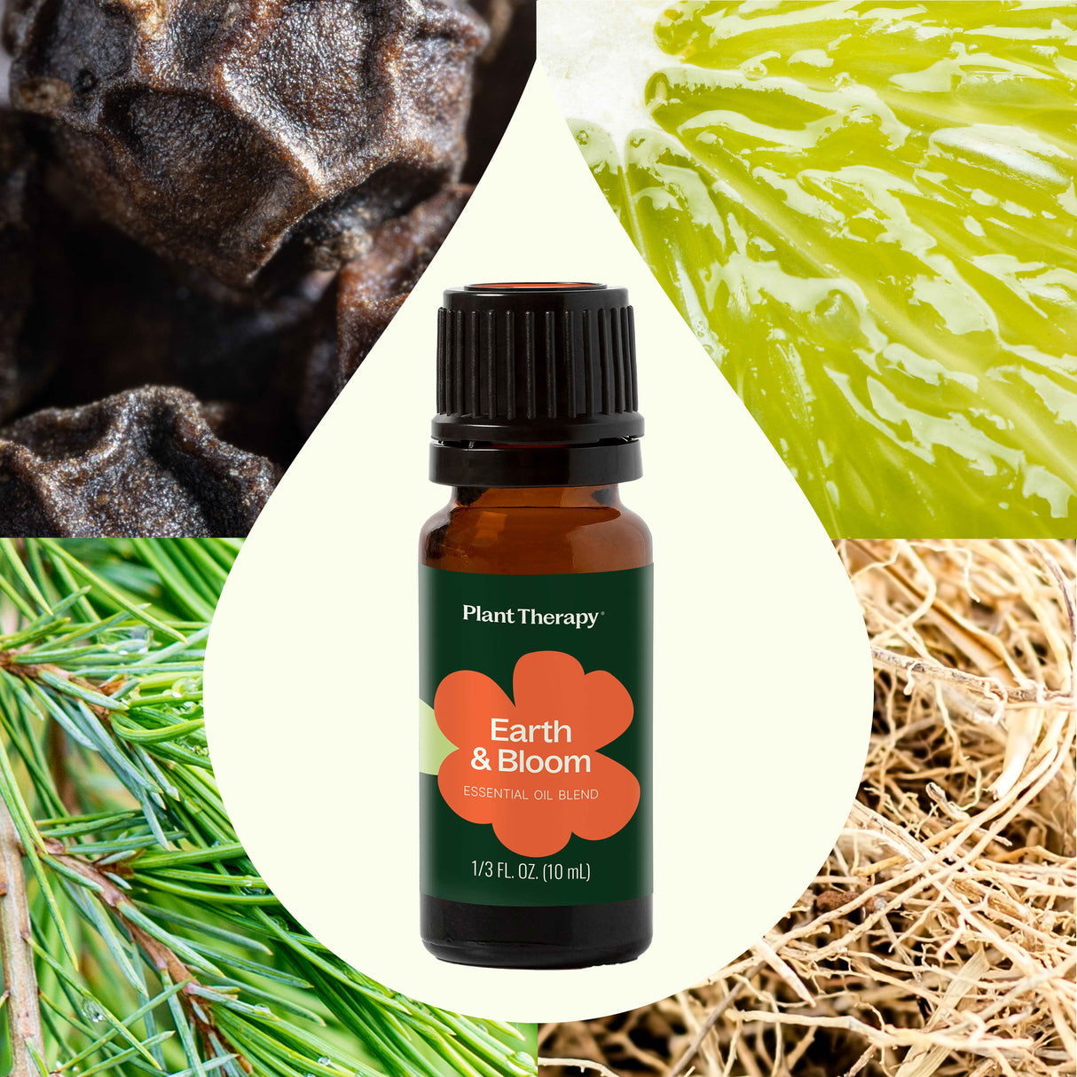 Earth & Bloom Essential Oil Blend from Plant Therapy
