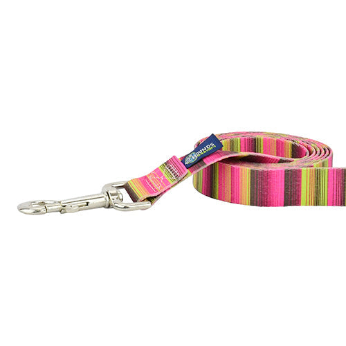 Bonnie Dog Leash – EarthStyle from 2 Hounds Design
