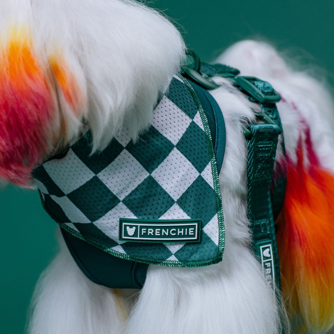 Frenchie Cooling Bandana - Emerald City from Frenchie Bulldog