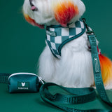 Frenchie Comfort Leash - Emerald City from Frenchie Bulldog