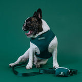 Frenchie Duo Reversible Harness - Emerald City from Frenchie Bulldog