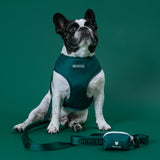 Frenchie Comfort Leash - Emerald City from Frenchie Bulldog