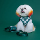 Frenchie Duo Reversible Harness - Emerald City from Frenchie Bulldog