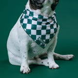 Frenchie Cooling Bandana - Emerald City from Frenchie Bulldog