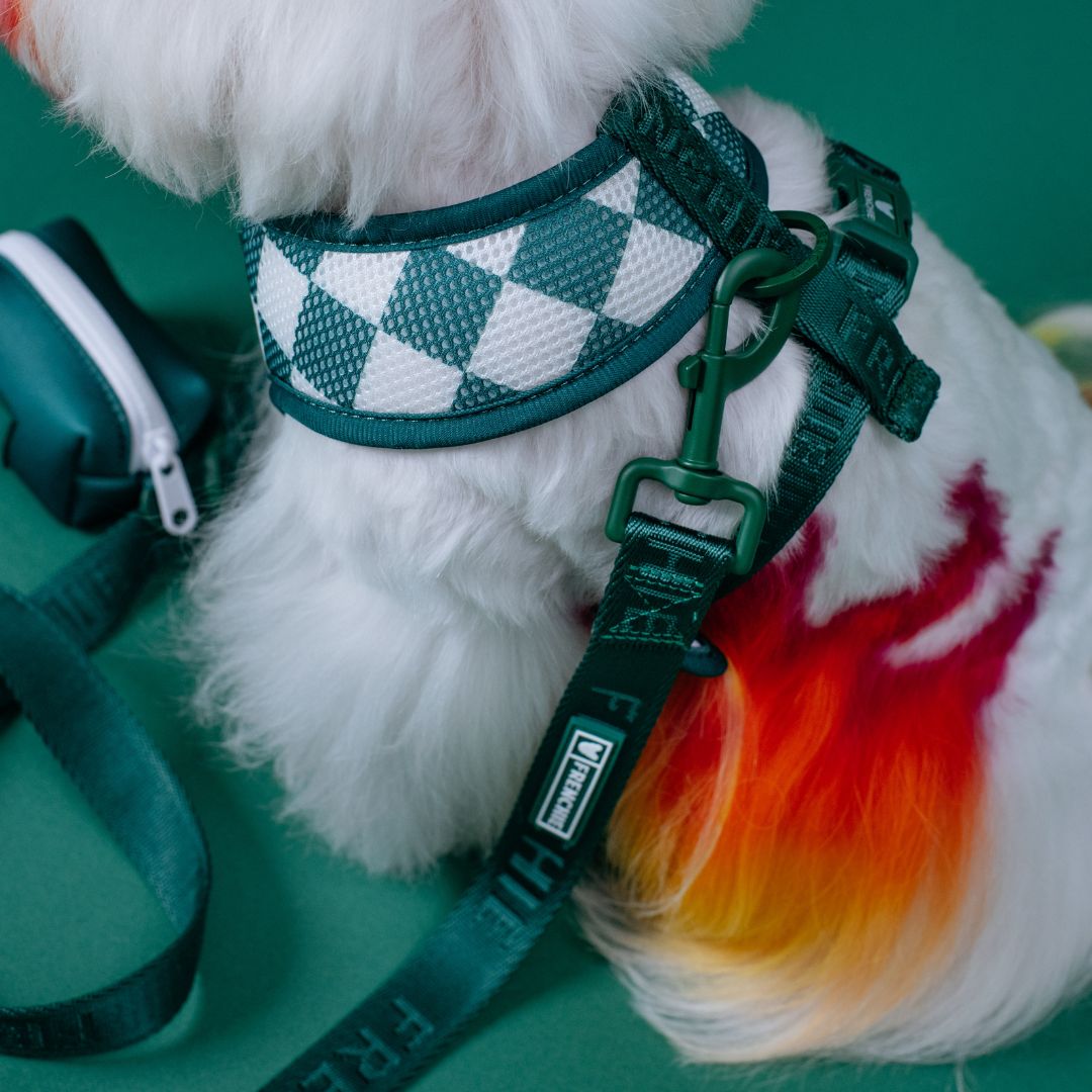 Frenchie Duo Reversible Harness - Emerald City from Frenchie Bulldog