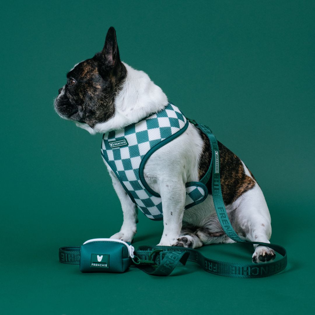 Frenchie Comfort Leash - Emerald City from Frenchie Bulldog