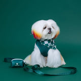 Frenchie Cooling Bandana - Emerald City from Frenchie Bulldog