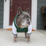 Frenchie Dog Hoodie - Emerald City Varsity from Frenchie Bulldog