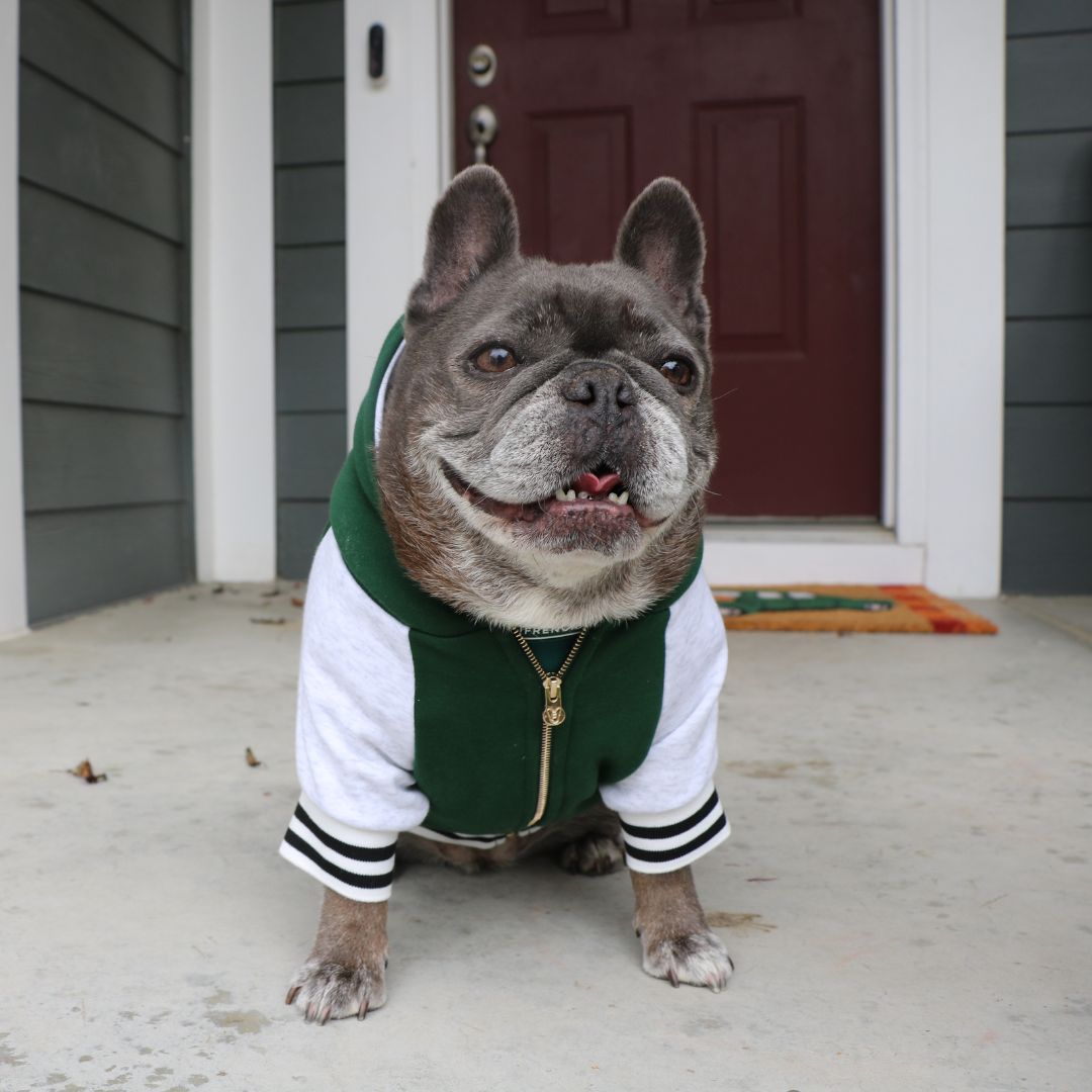 Frenchie Dog Hoodie - Emerald City Varsity from Frenchie Bulldog