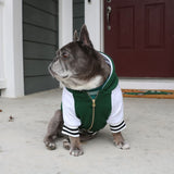 Frenchie Dog Hoodie - Emerald City Varsity from Frenchie Bulldog