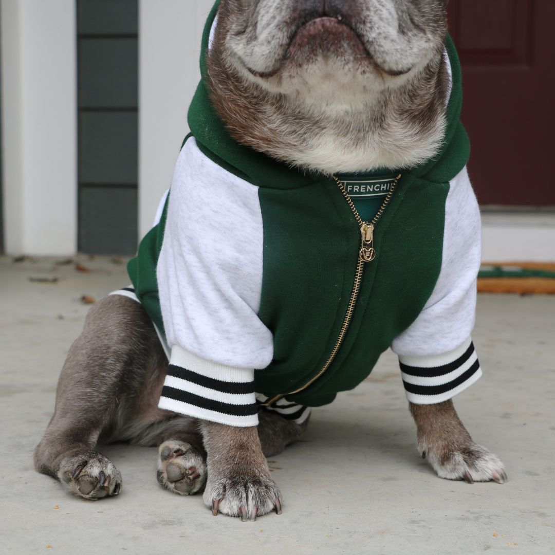 Frenchie Dog Hoodie - Emerald City Varsity from Frenchie Bulldog